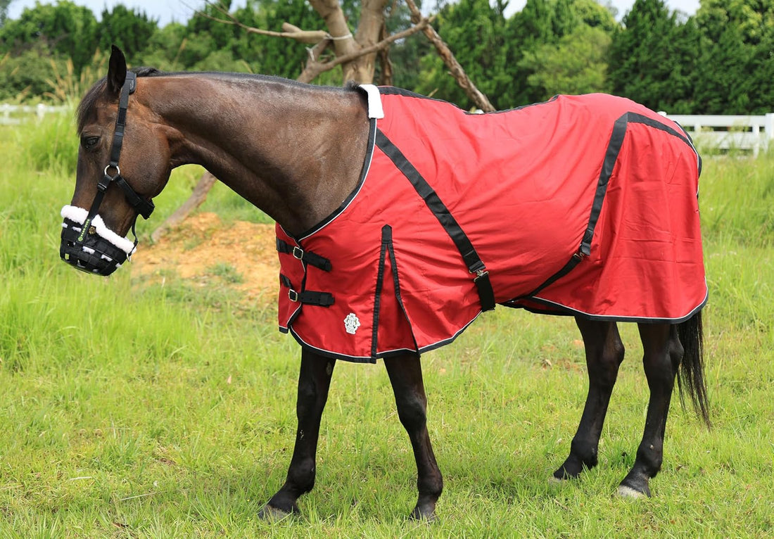 T TEKE Deluxe Horse Canvas Sheet for Snug and Clean in Stable