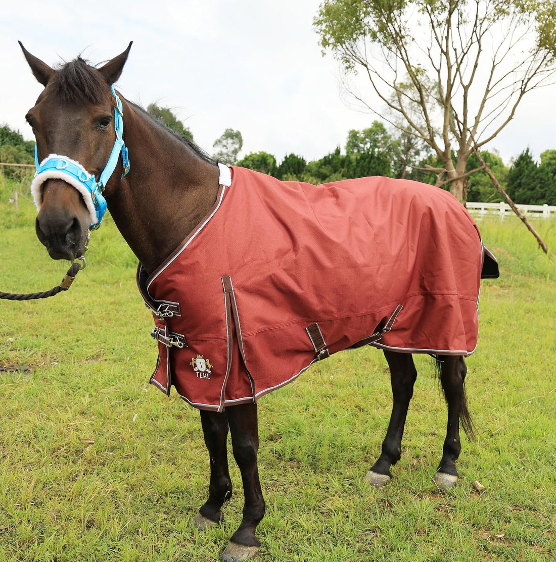 T TEKE Deluxe 1200D Horse Turnout Blanket, 200g Fill