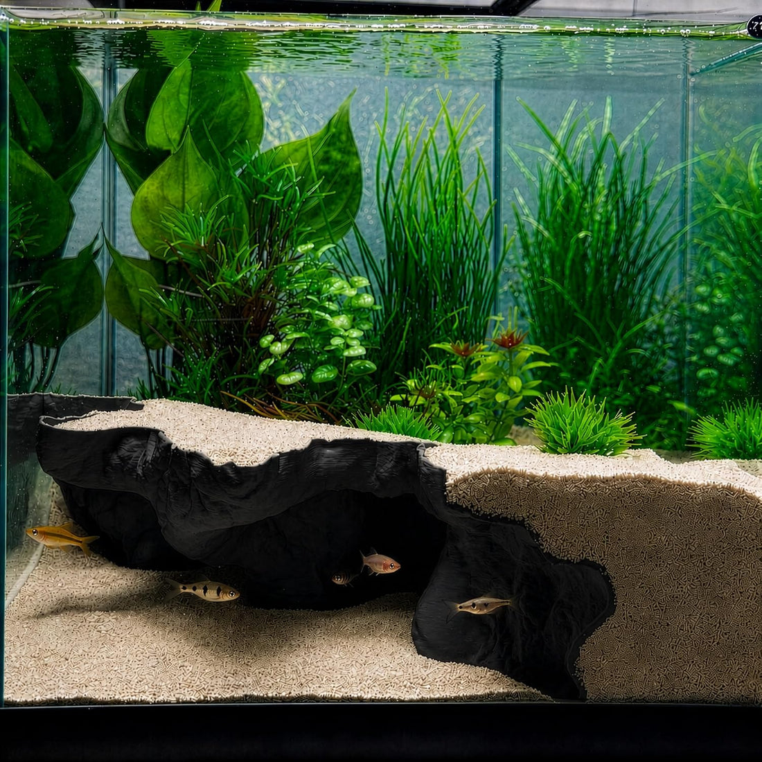 Aquarium Corner Underground Cave
