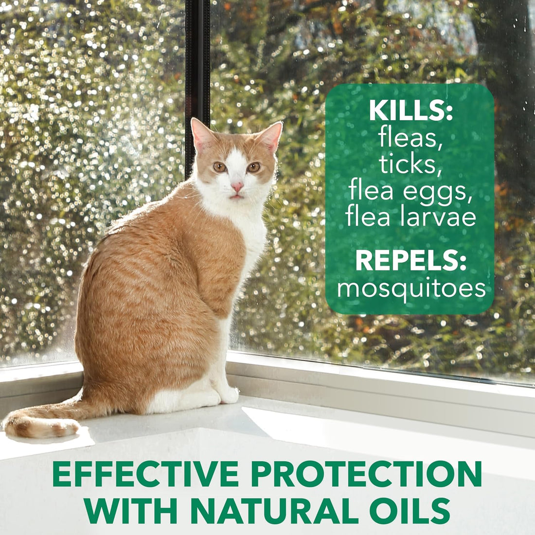Hartz Nature’s Shield Flea & Tick Spray Treatment for Cats