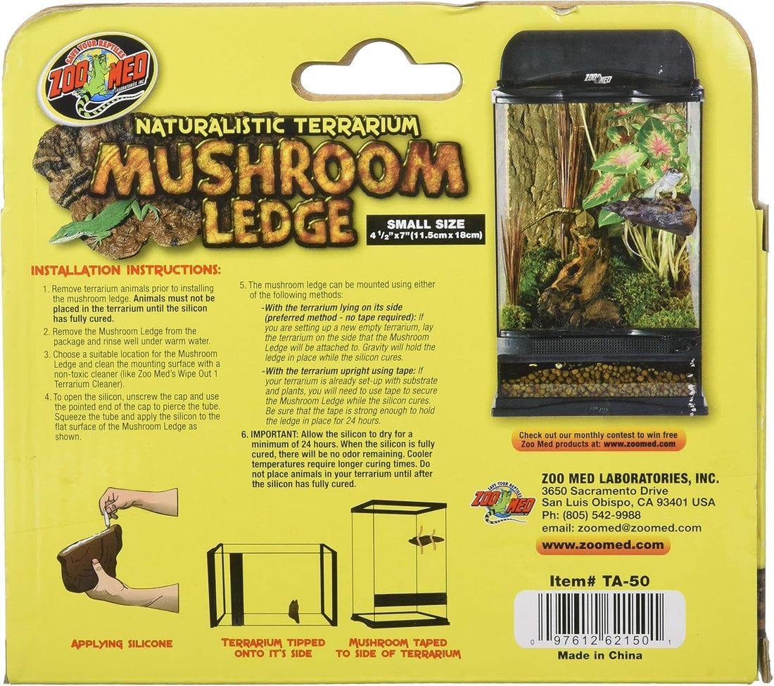 Naturalistic Terrarium Mushroom Ledge