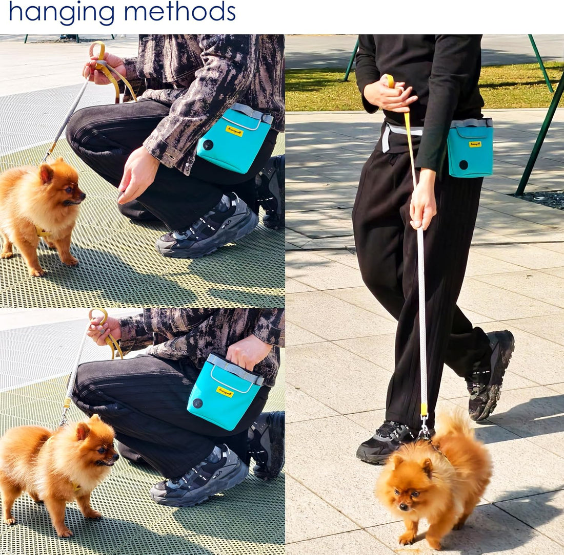 Raisingwell Dog Treat Pouch for Pet Walking and Training with Clicker
