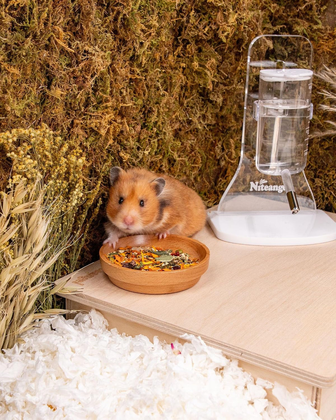 Niteangel Nature Golden Hamster Food