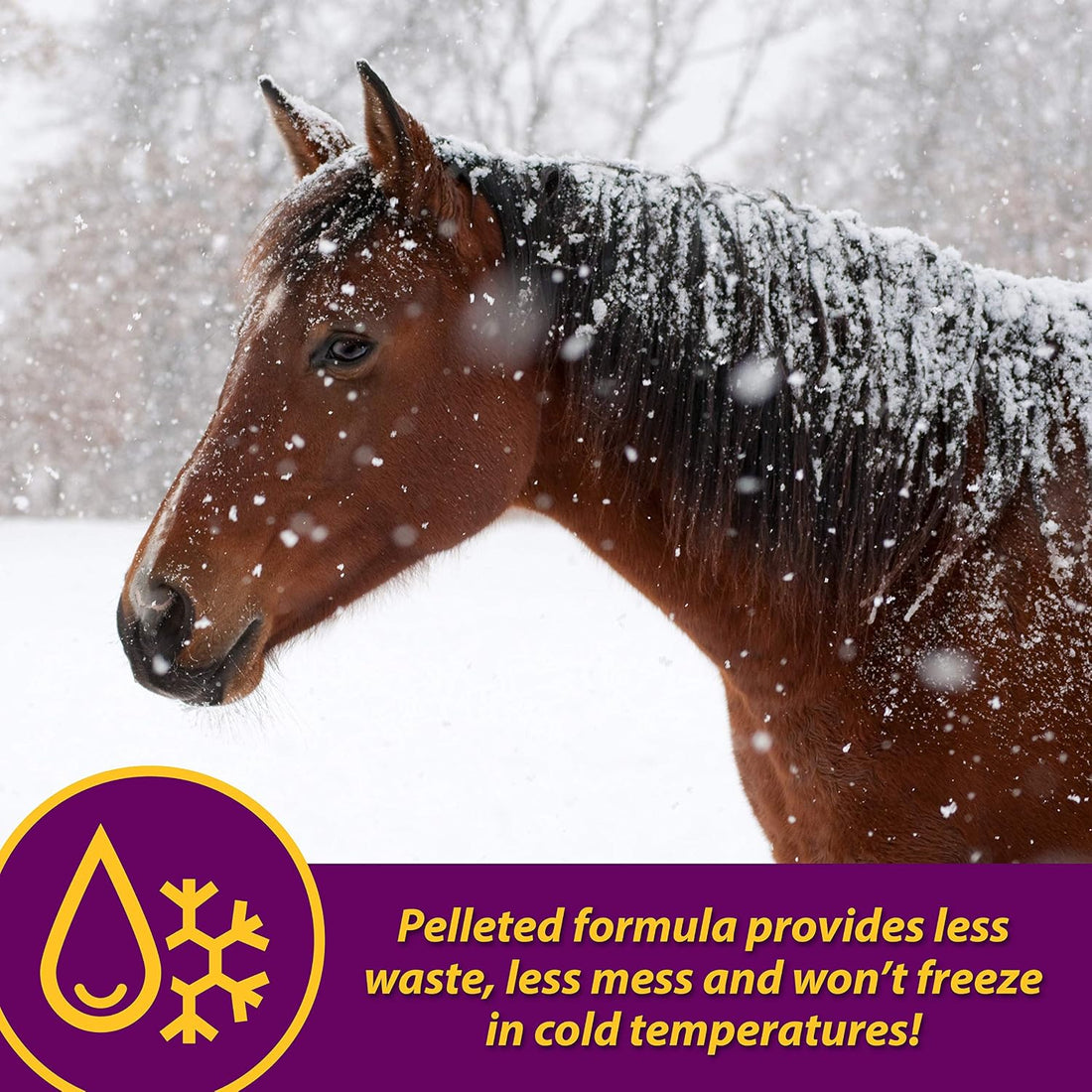 Farnam Horse Health Red Cell Pellets
