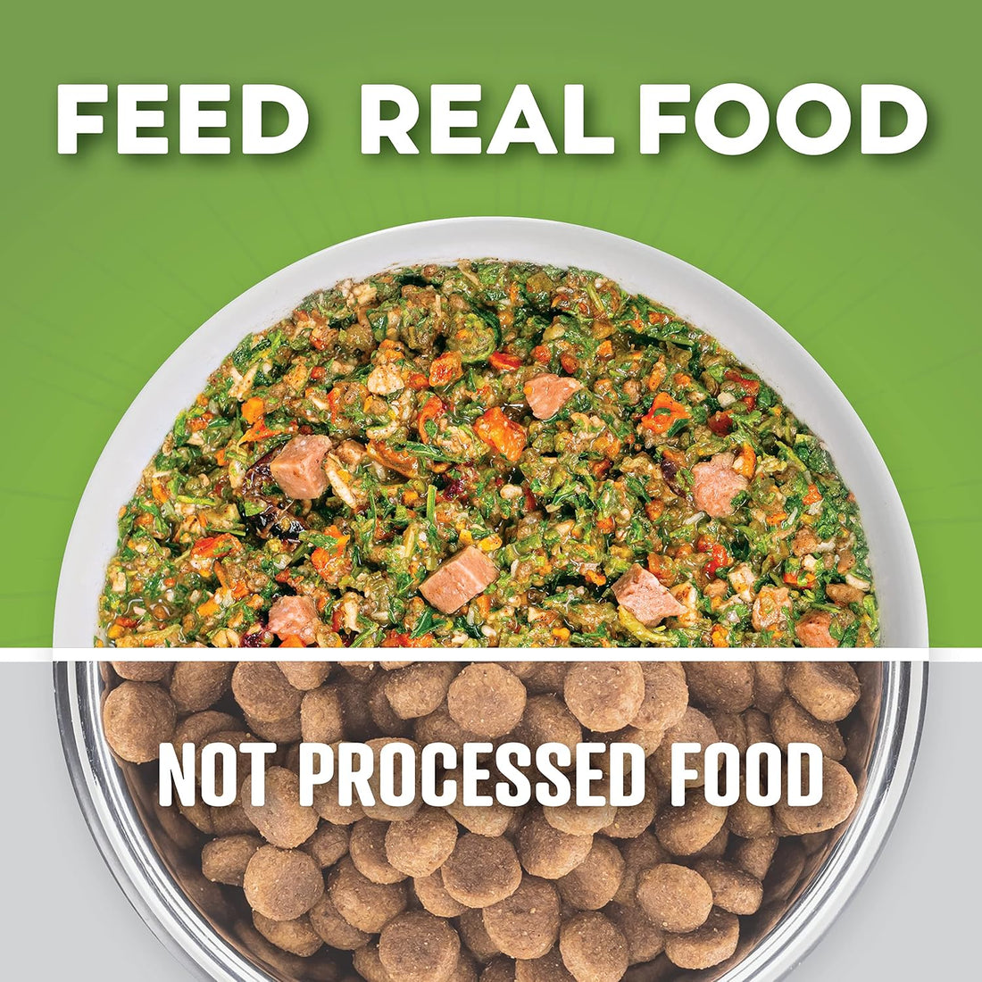 Dr. Harvey's Beef & Garden Veggies Dog Food