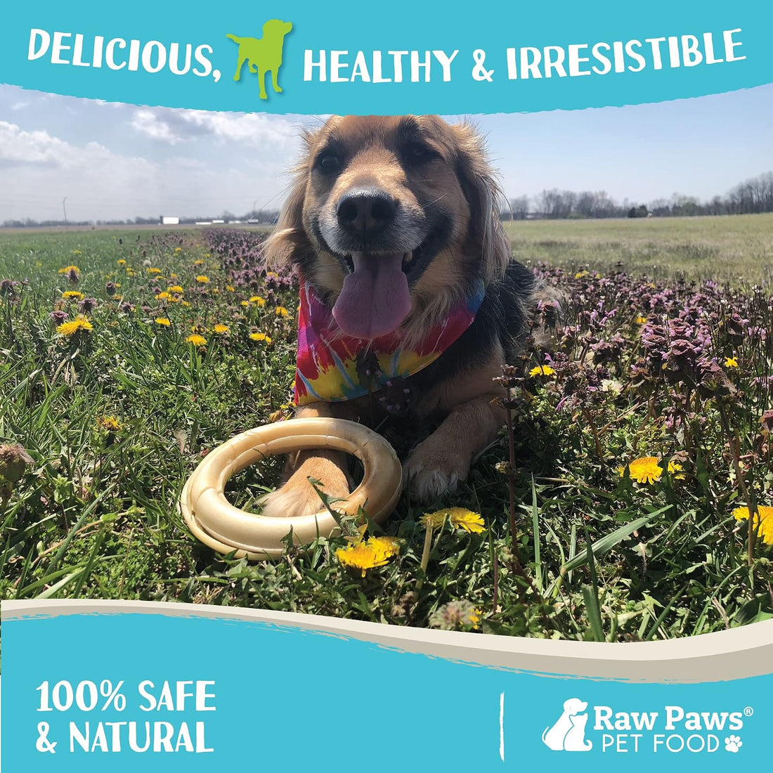 Raw Paws 6-inch Compressed Rawhide Rings for Dogs, 10-Count