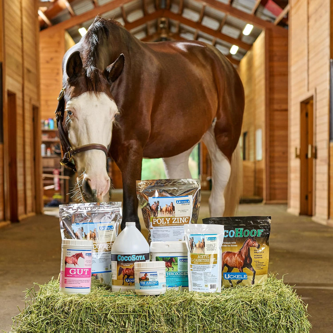 SmartEquine Horse Biotin Powder, 18 oz