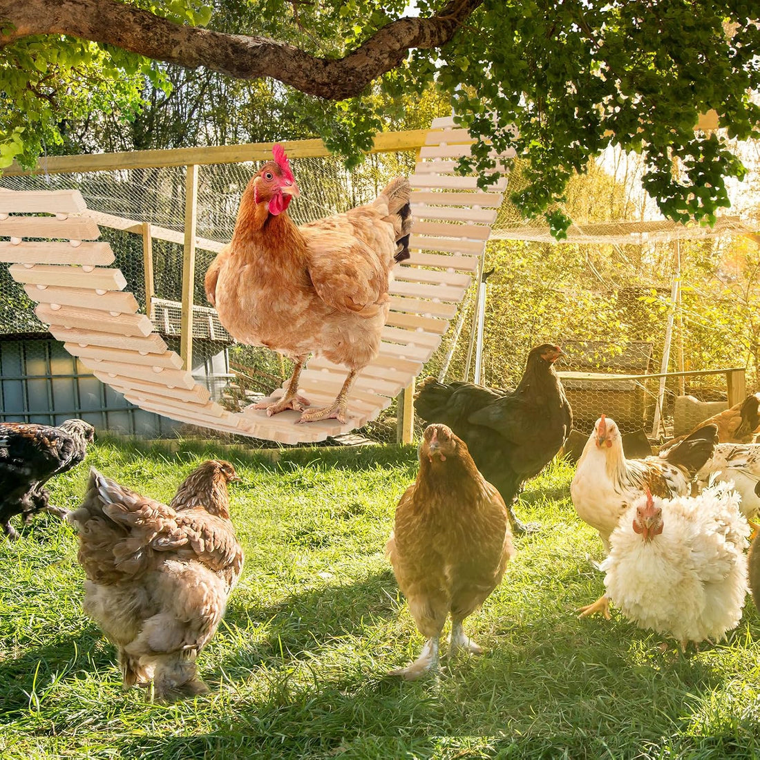 Jorewood Chicken Coop Toy Natural Wooden Chicken Swing & Bridge Toys
