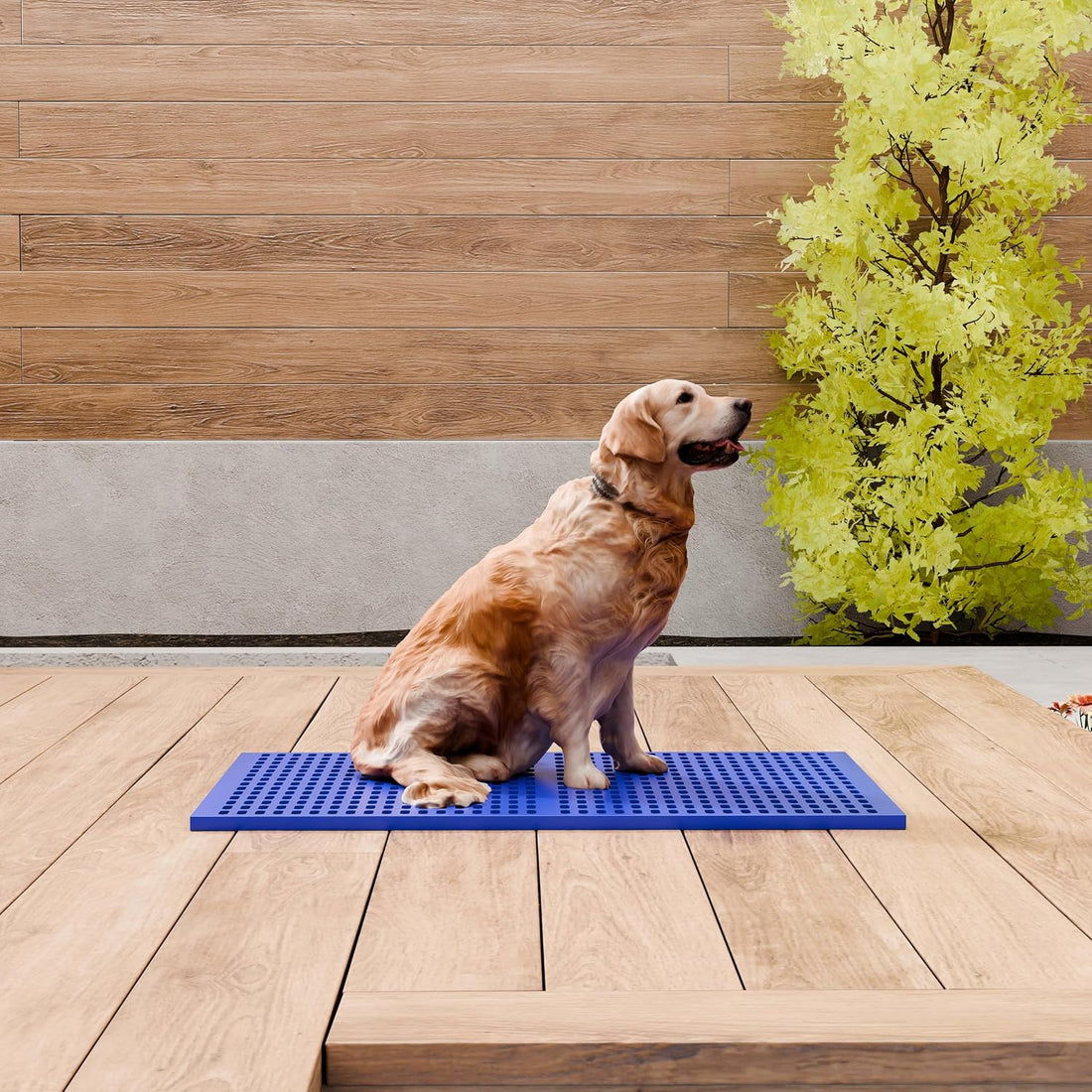 Dog Crate Floor Fence, Blue, 37in