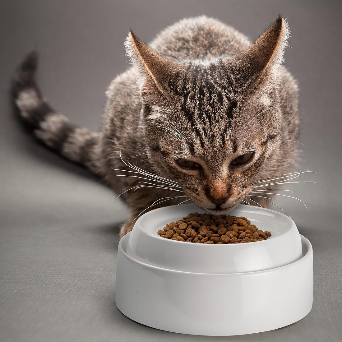 CatGuru Cat Bowls, Whisker Friendly Food Bowl for Indoor Cats
