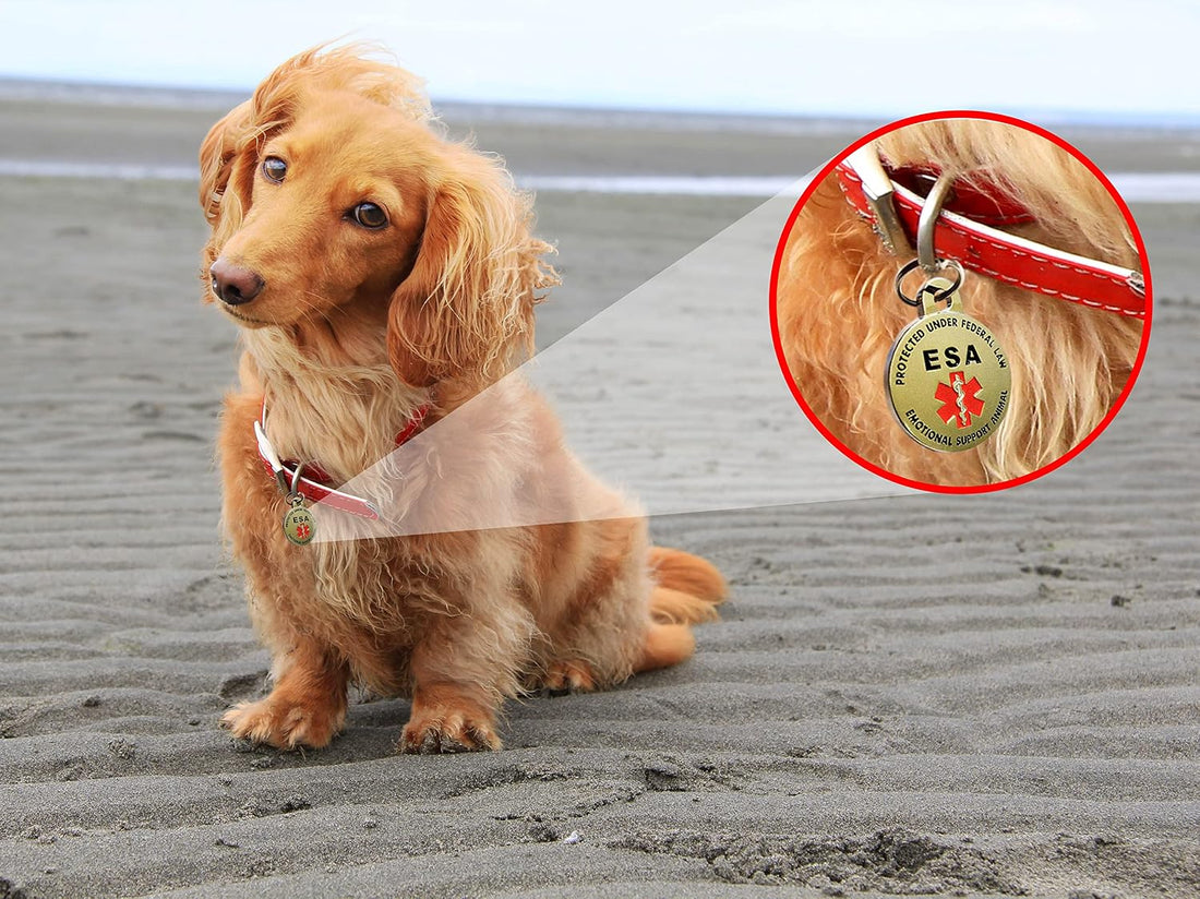 Double Sided Small Breed Emotional Support Animal ESA Tag Red Medical