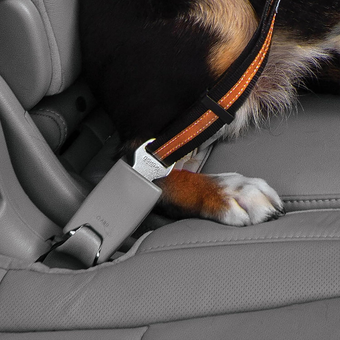 Kurgo Direct to Latch Swivel Tether, Charcoal