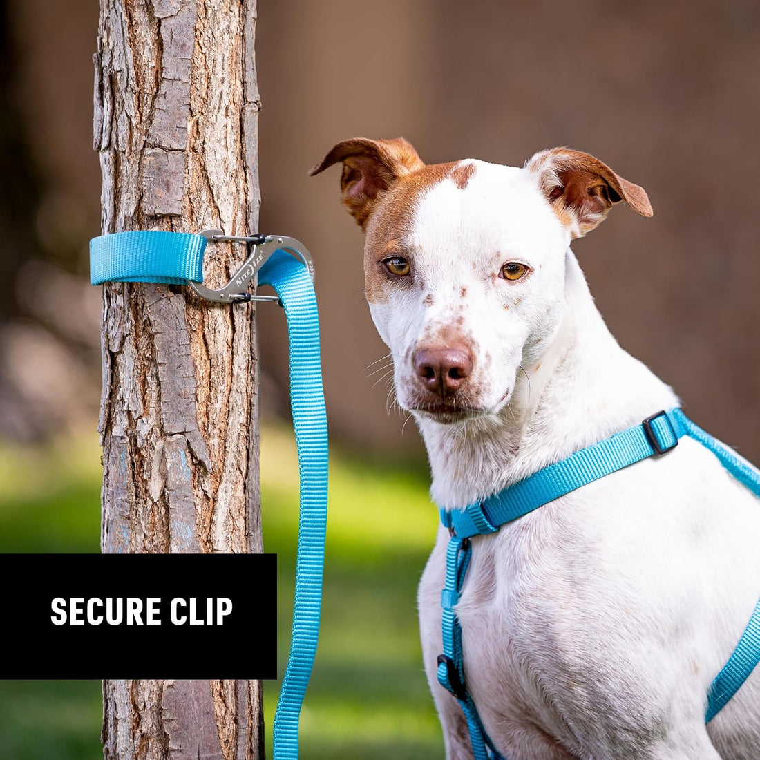 Nite Ize SlideLock Pet S-Biner