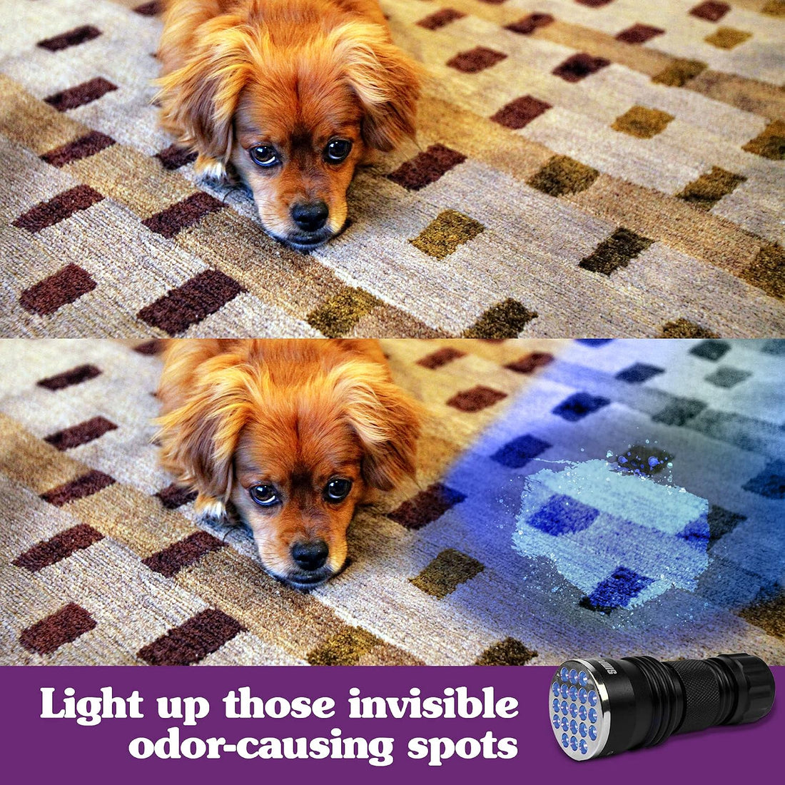 Simple Solution Spot Spotter HD UV LED Urine Detector