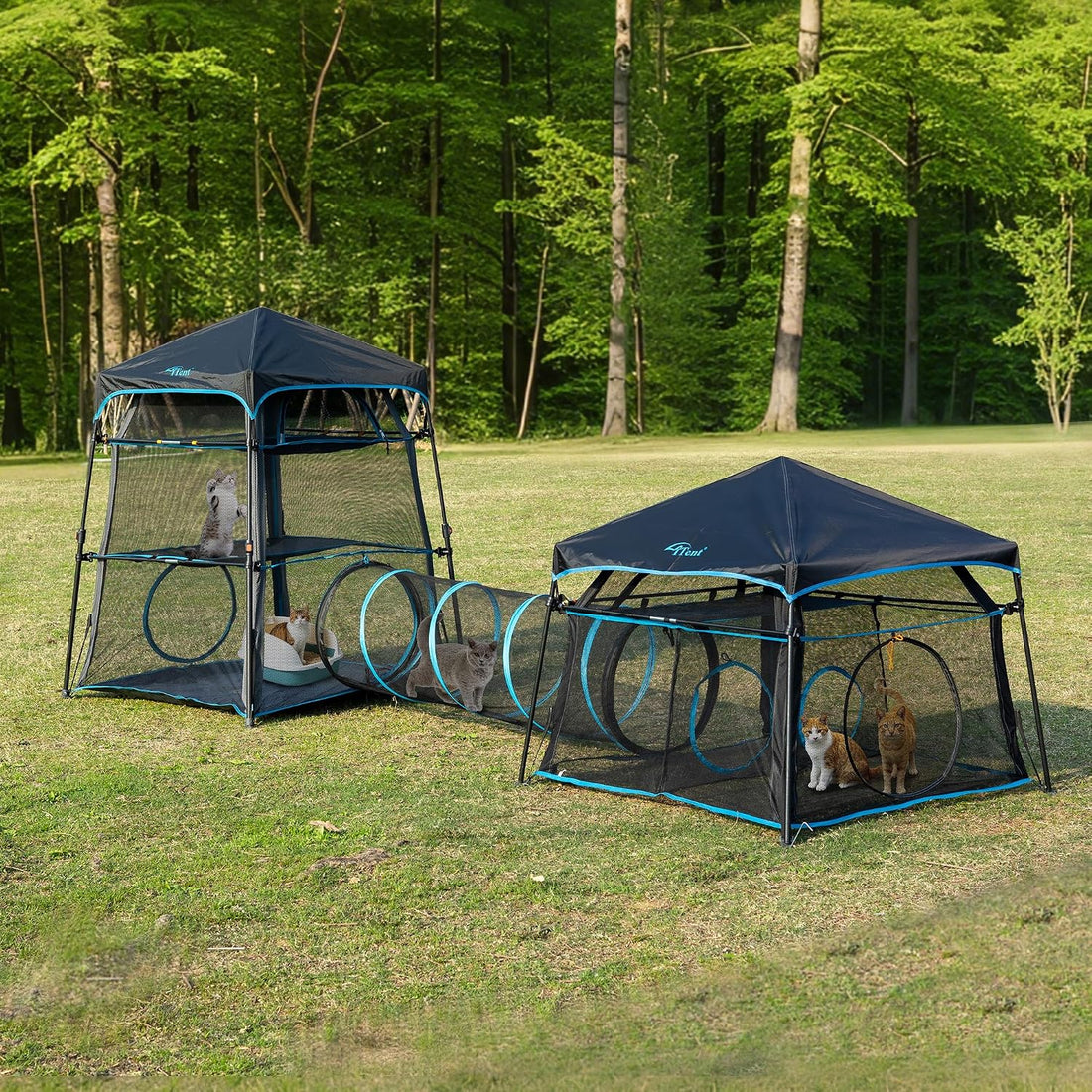 Extra Large Catio Outdoor Cat Enclosure 2-Tier Cat Tent for Patio