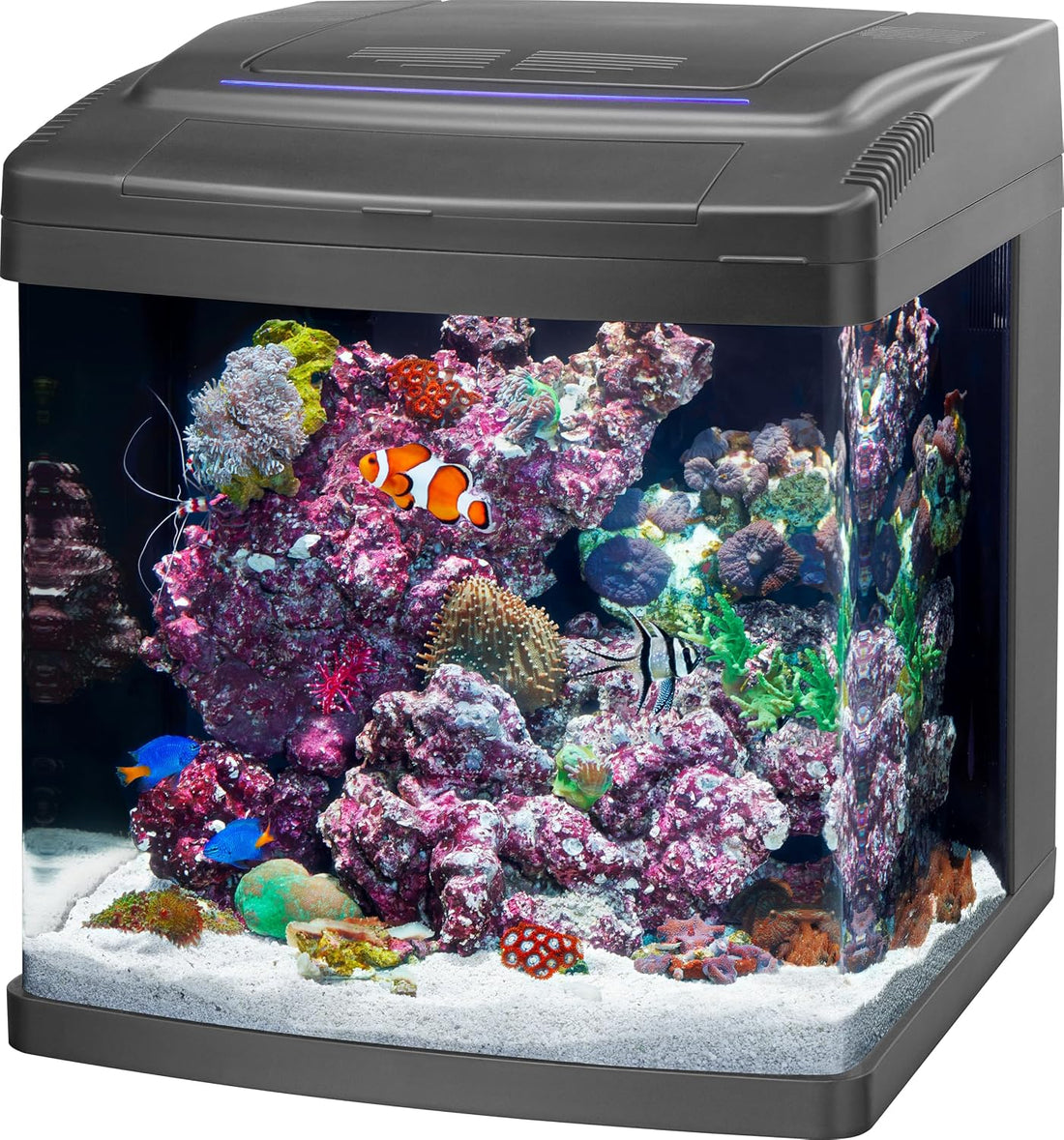 Coralife LED Biocube Aquarium Starter Kit