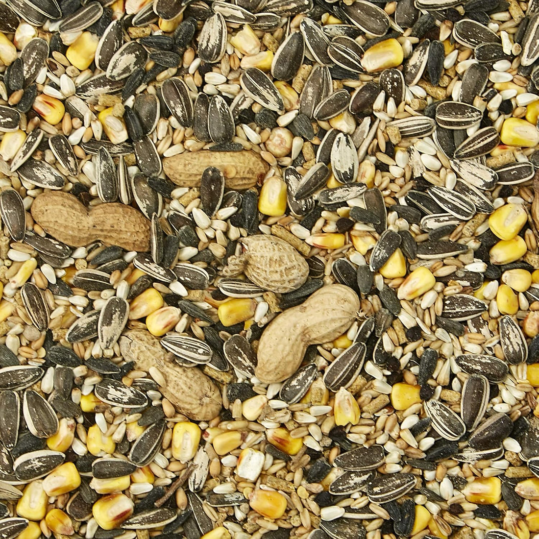 Kaytee Supreme Pet Parrot Food, Natural Seed & Grain Blend, 5 Pounds