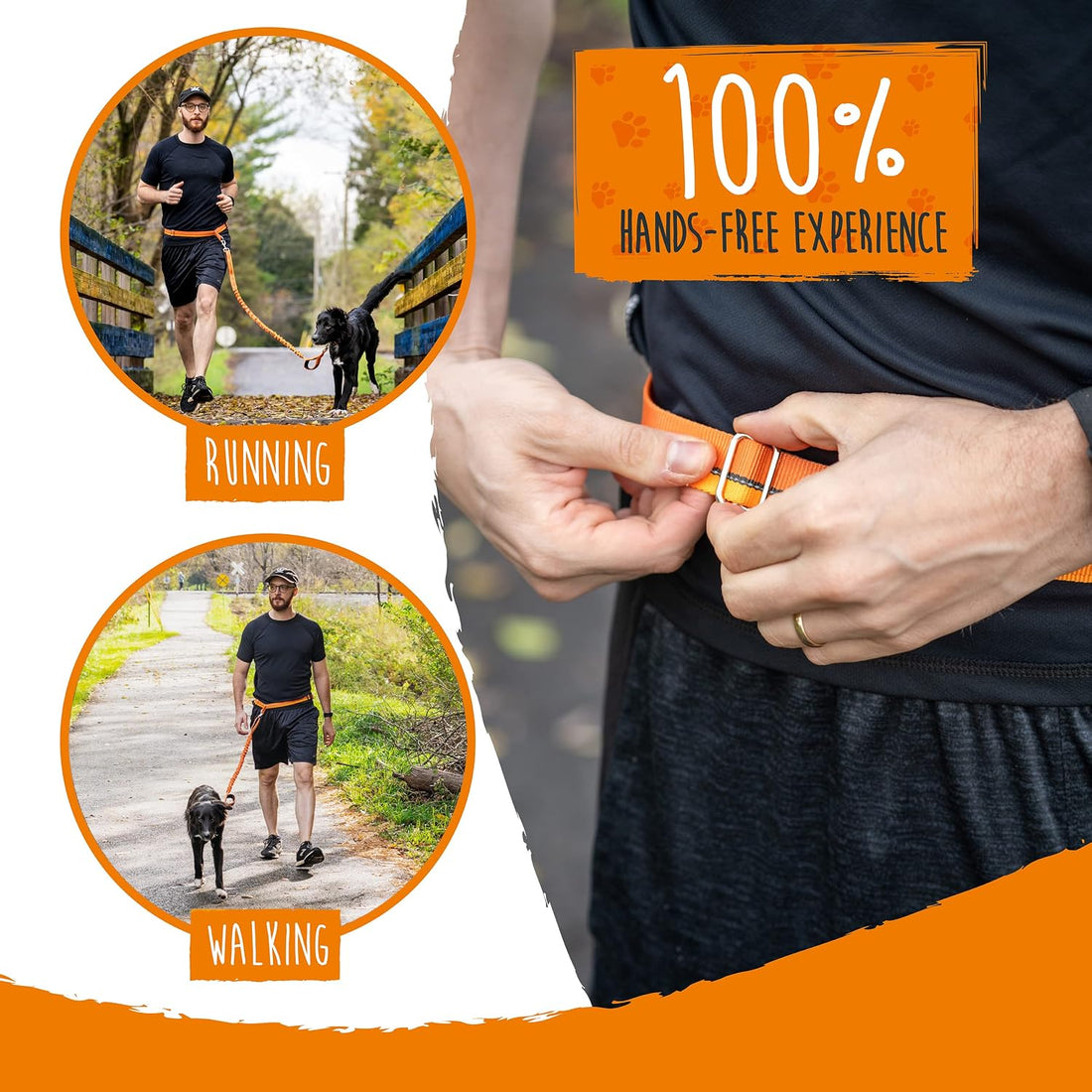Mighty Paw Hands Free Dog Leash