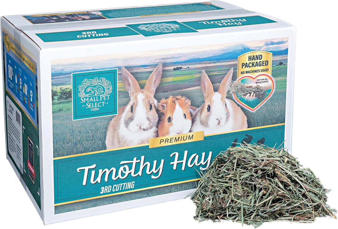 Small Pet Select 3rd Cutting Super Soft Timothy Hay, Picky Eaters