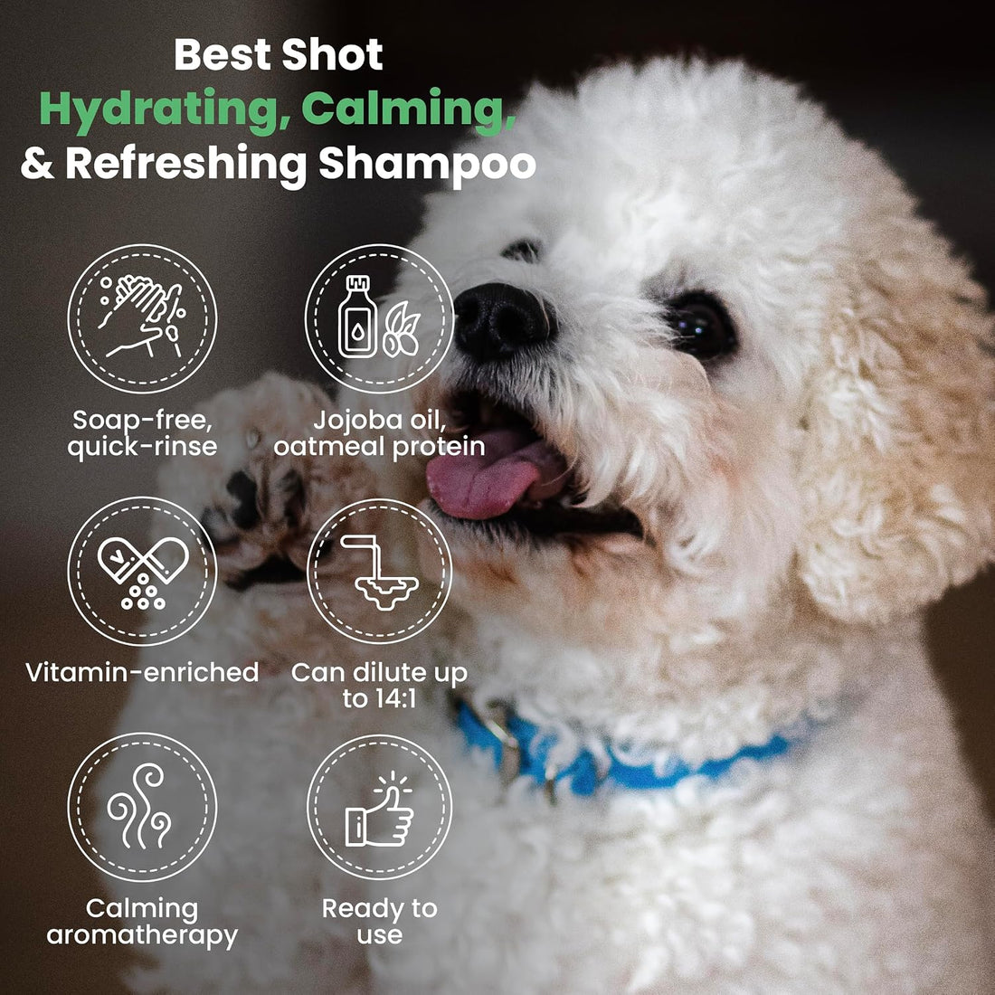 Best Shot Lemon-Aid Oatmeal Wash, 1 Gallon