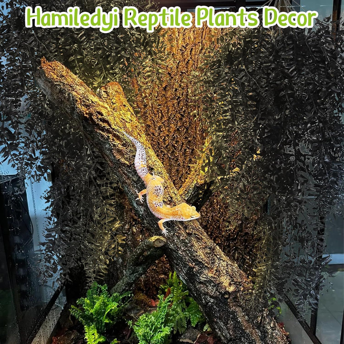 Hamiledyi Reptile Plants for Terrarium, Hanging Tank Greenery