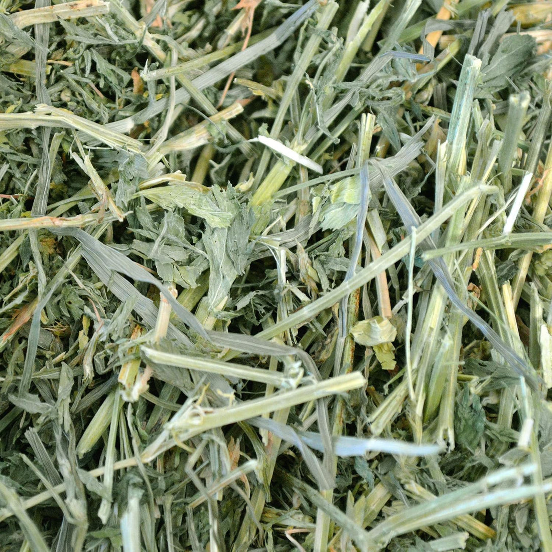 Oxbow Alfalfa Hay, Rabbit & Guinea Pig Hay, Hand-Sorted, De-Dusted
