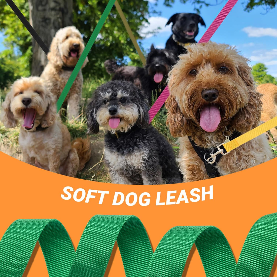 12 Pack Bulk Dog Leashes, 6FT Pet Lead Leash with Swivel Hook