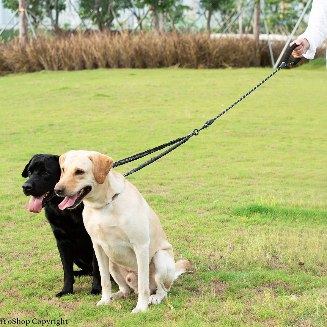 iYoShop Dual Dog Leash - 360° Swivel