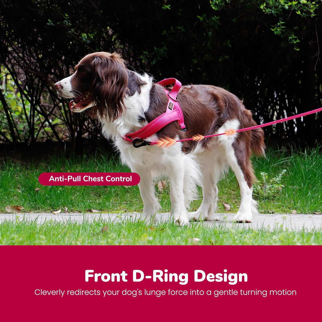 Didog No Pull Dog Harness for Small Dogs