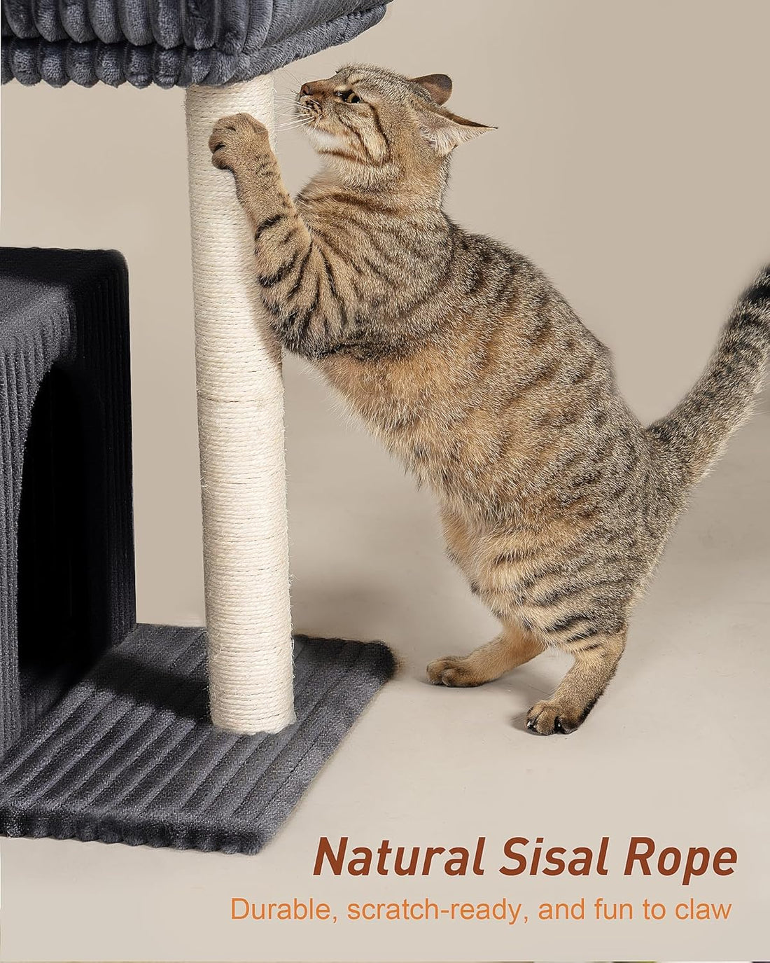 22.8" Cat Tree for Large Cat, 20.9 * 15.7in Large Perch