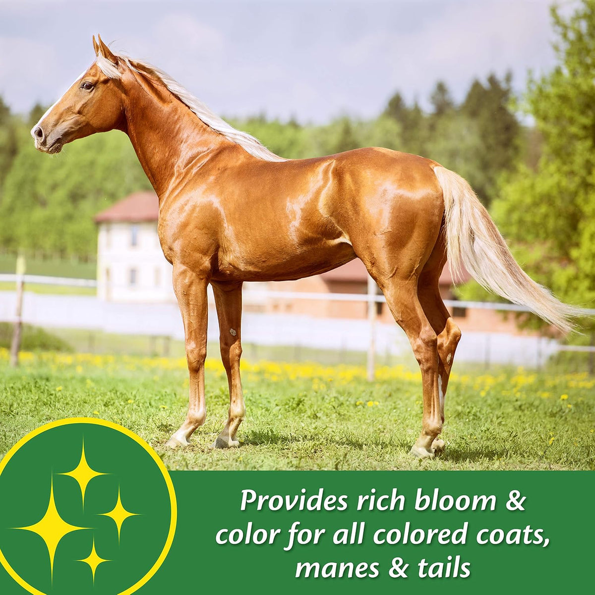 Farnam Super 14 Healthy Skin & Coat Supplement for Horses