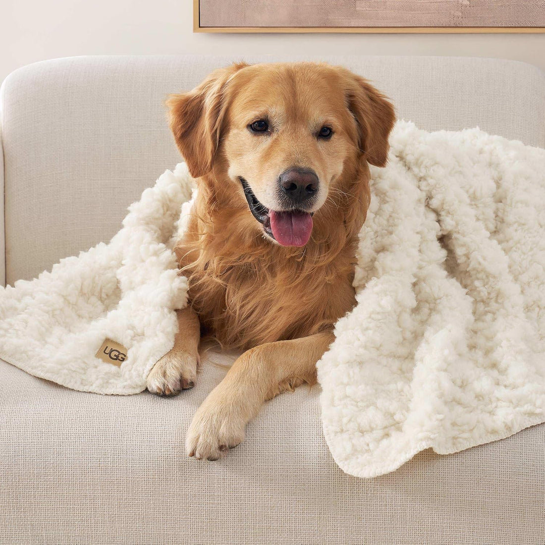 UGG Shira Pet Throw, Reversible, 50" x 40", White (Snow)