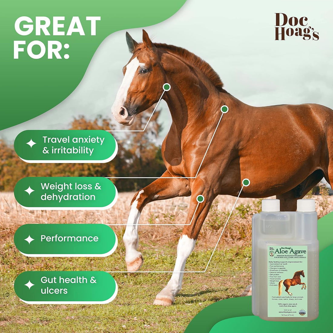 Doc Hoag's Aloe Vera Horse Supplement, Gastric & Ulcer Support