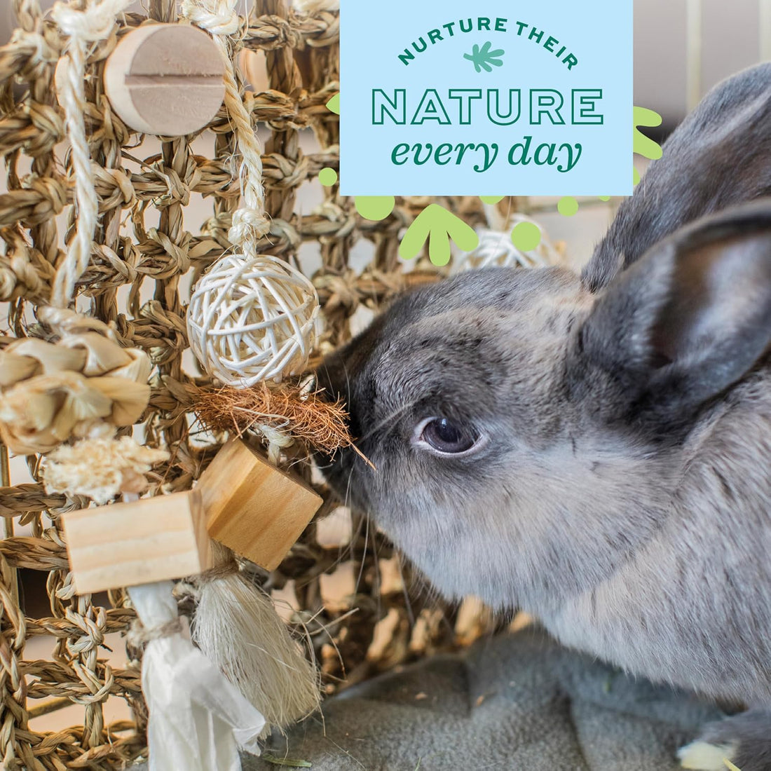 Oxbow Play Wall, Rabbit & Guinea Pig Toys, Guinea Pig Accessories