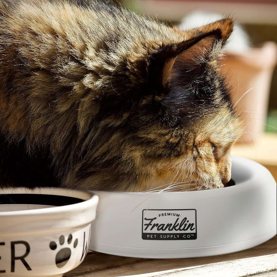 Franklin Pet Supply Co. Spill Proof Pet Bowl