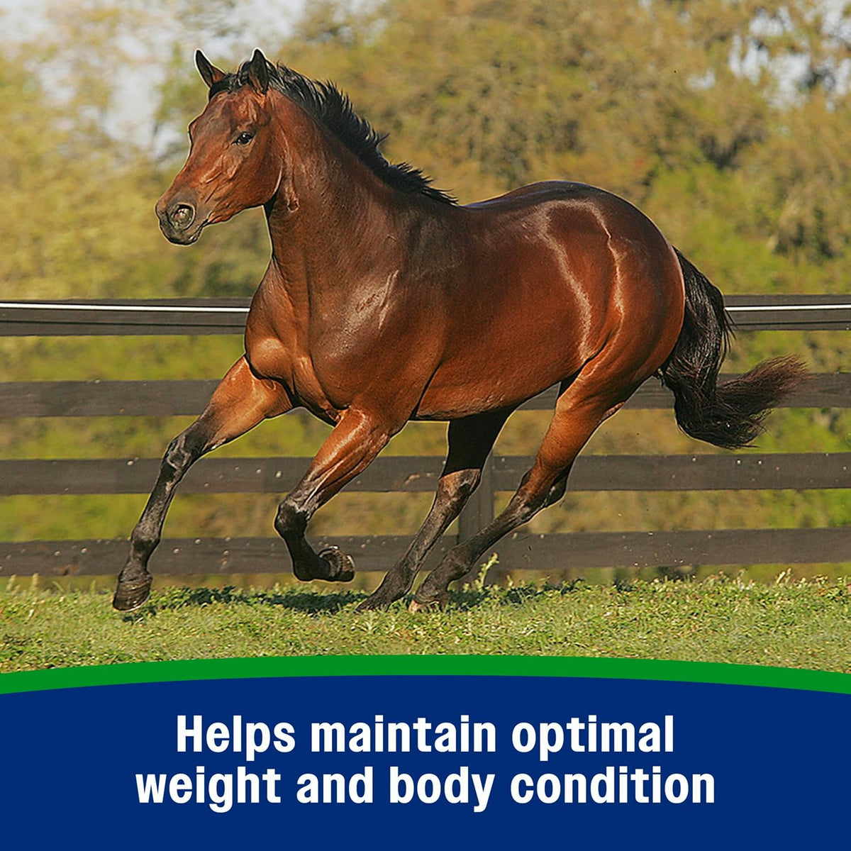 Farnam Weight Builder Weight Support Supplement for Horses