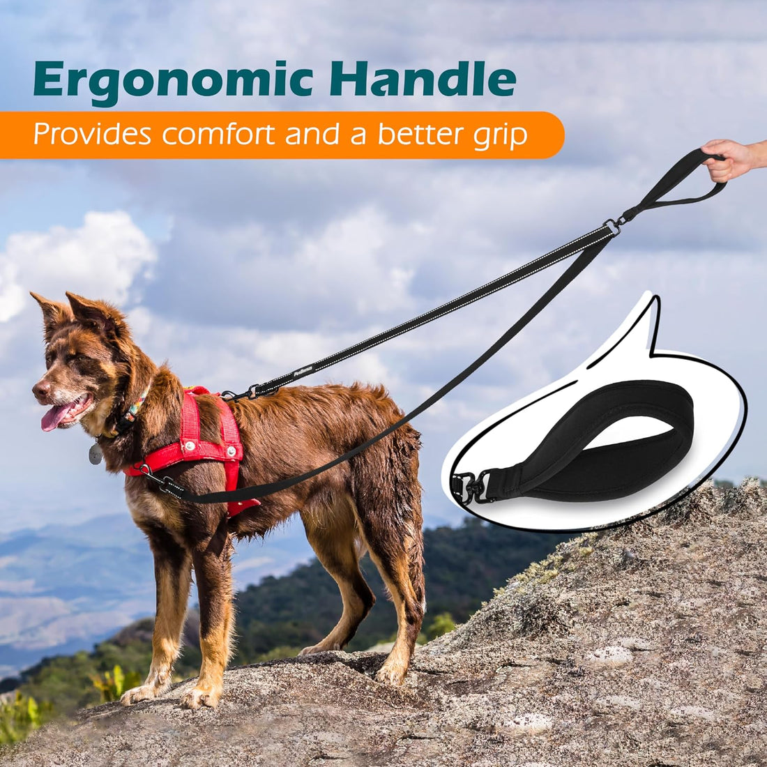 PetBonus Two Point Control Dog Leash, Works with No Pull Harnesses