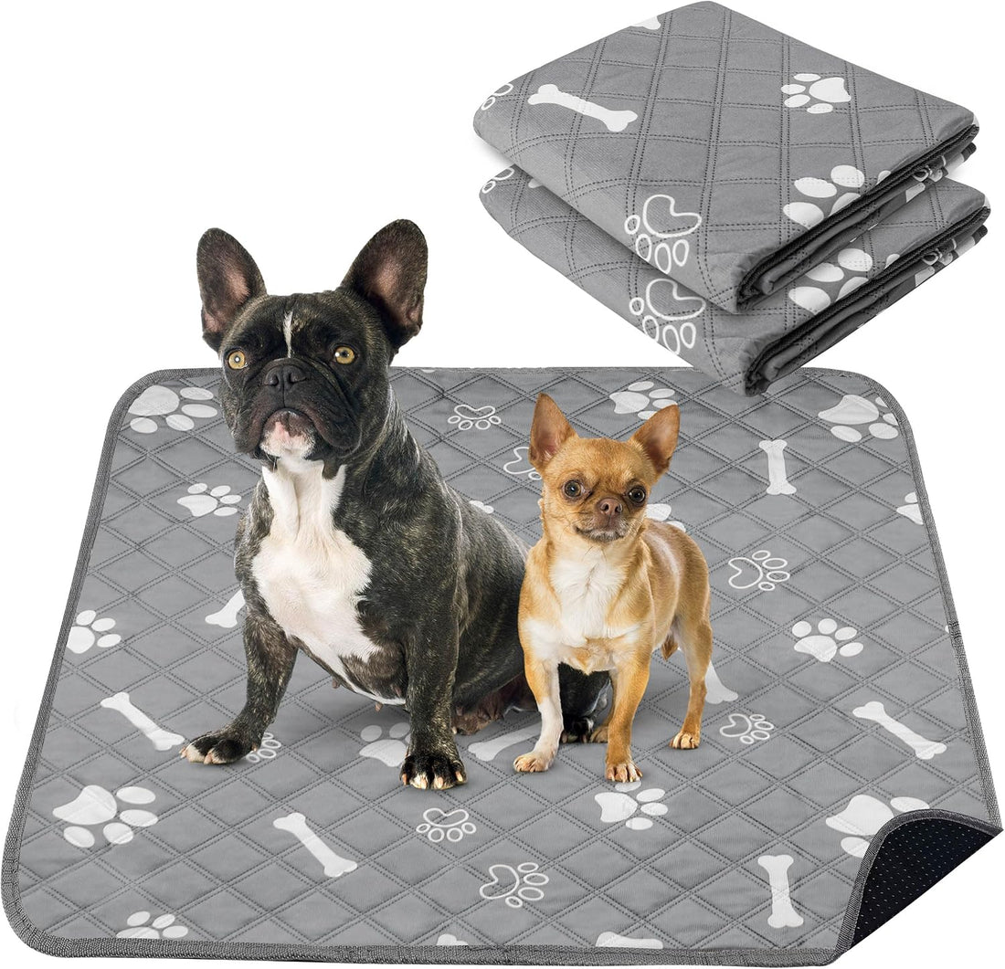 PatiencET Self Warming Cat Bed for Indoor Cats 14'' x 20''
