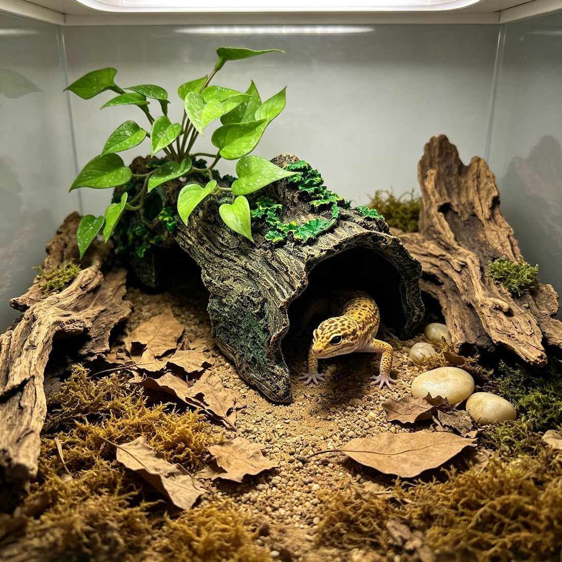 Resin Simulated Bark Reptile Hideouts, L 9.9x4.7x3.9in