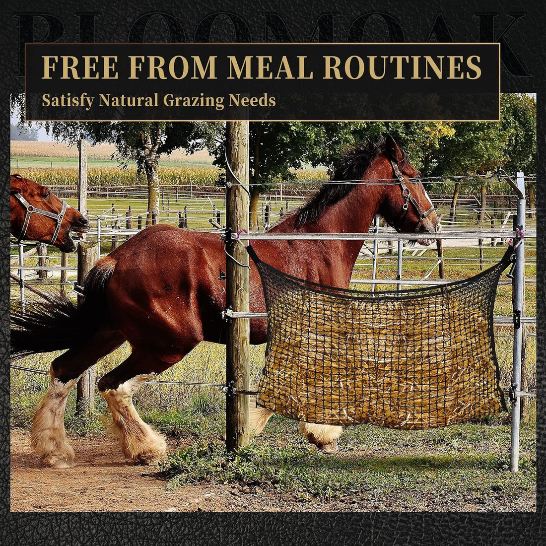 Bloomoak Ultra Slow Feed Hay Net with 4 Carabiner Clips