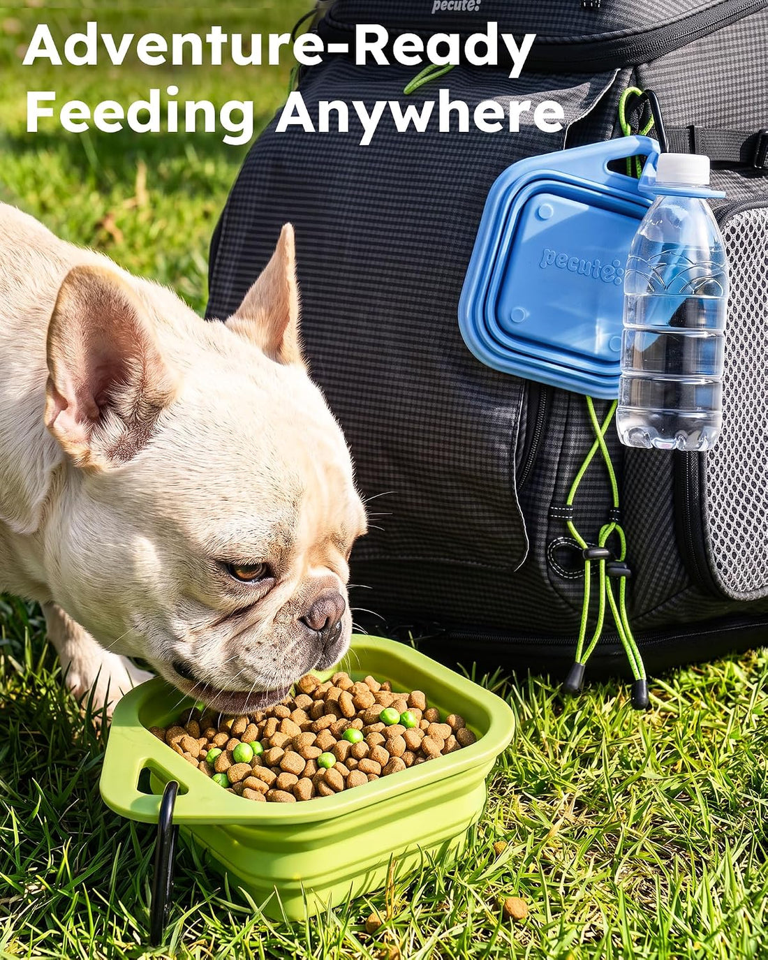 Pecute 2 Pack Collapsible Dog Bowls, Food-Grade Silicone