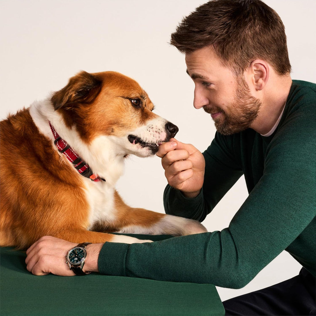 Jinx Dog Training Treats, Bite-Sized Training Treats for Dogs, Beef