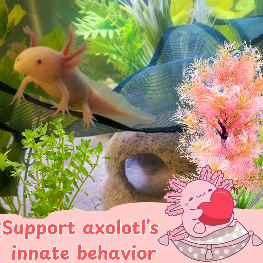 Axolotl Hammock for Aquarium and Ceramic Feeding Dish, Axolotl Hammock