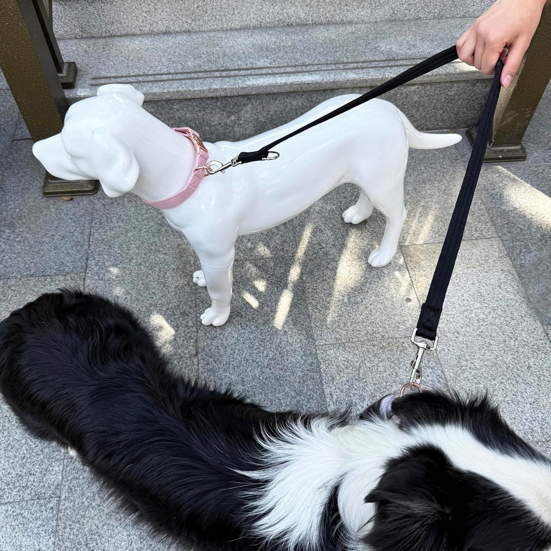 Double Ended Dog Leash,for Obedience Training Easy