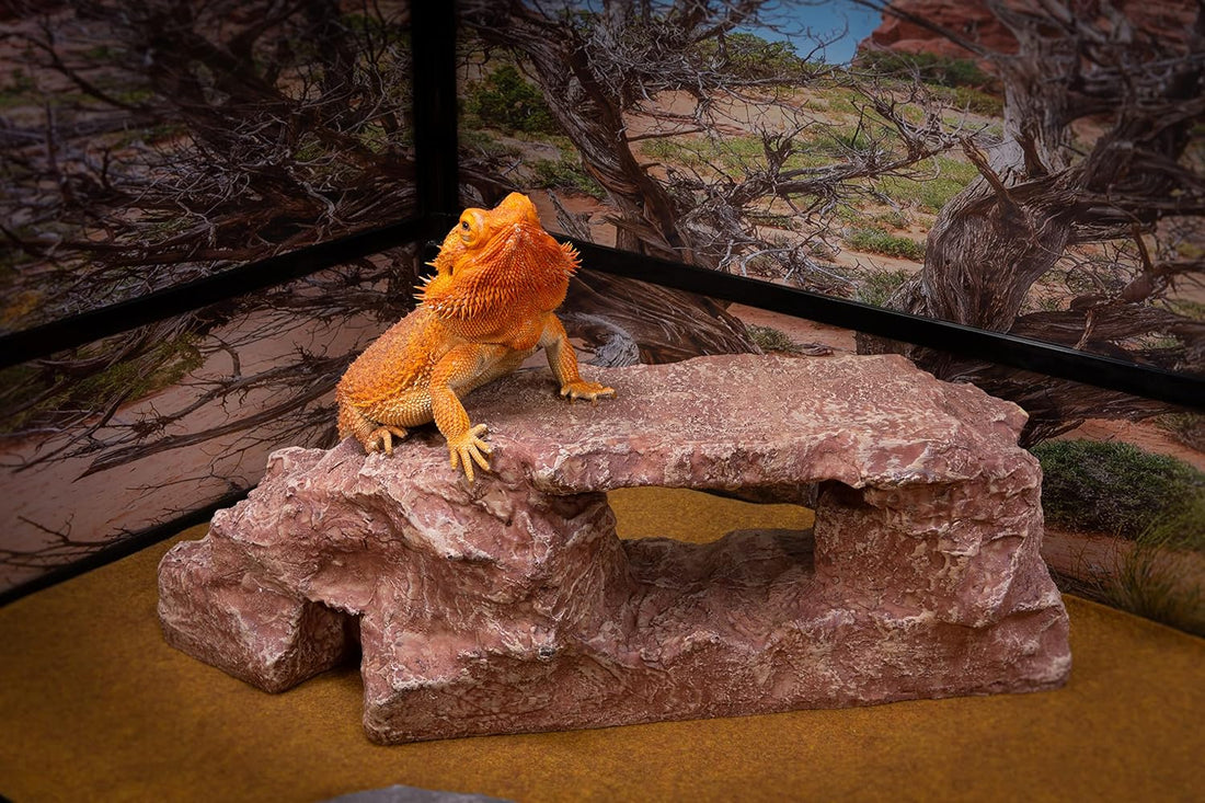 Rock Arch, Reddish Brown, Reptile Habitat Accessory