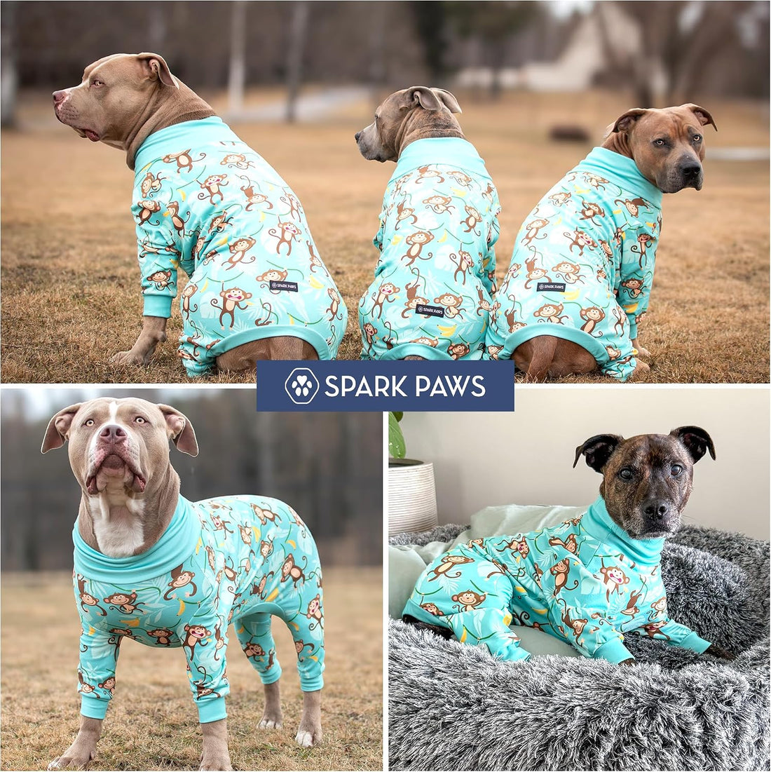 Spark Paws Dog Pajama, Dog Recovery Suit Male, Onesie