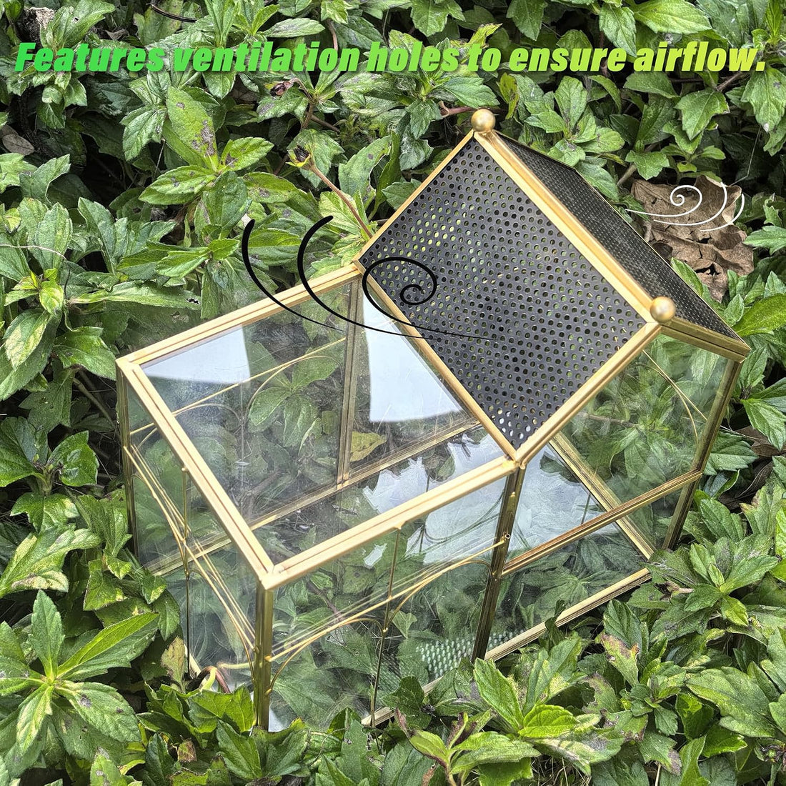 Ready-to-Use Glass Terrarium with Vents