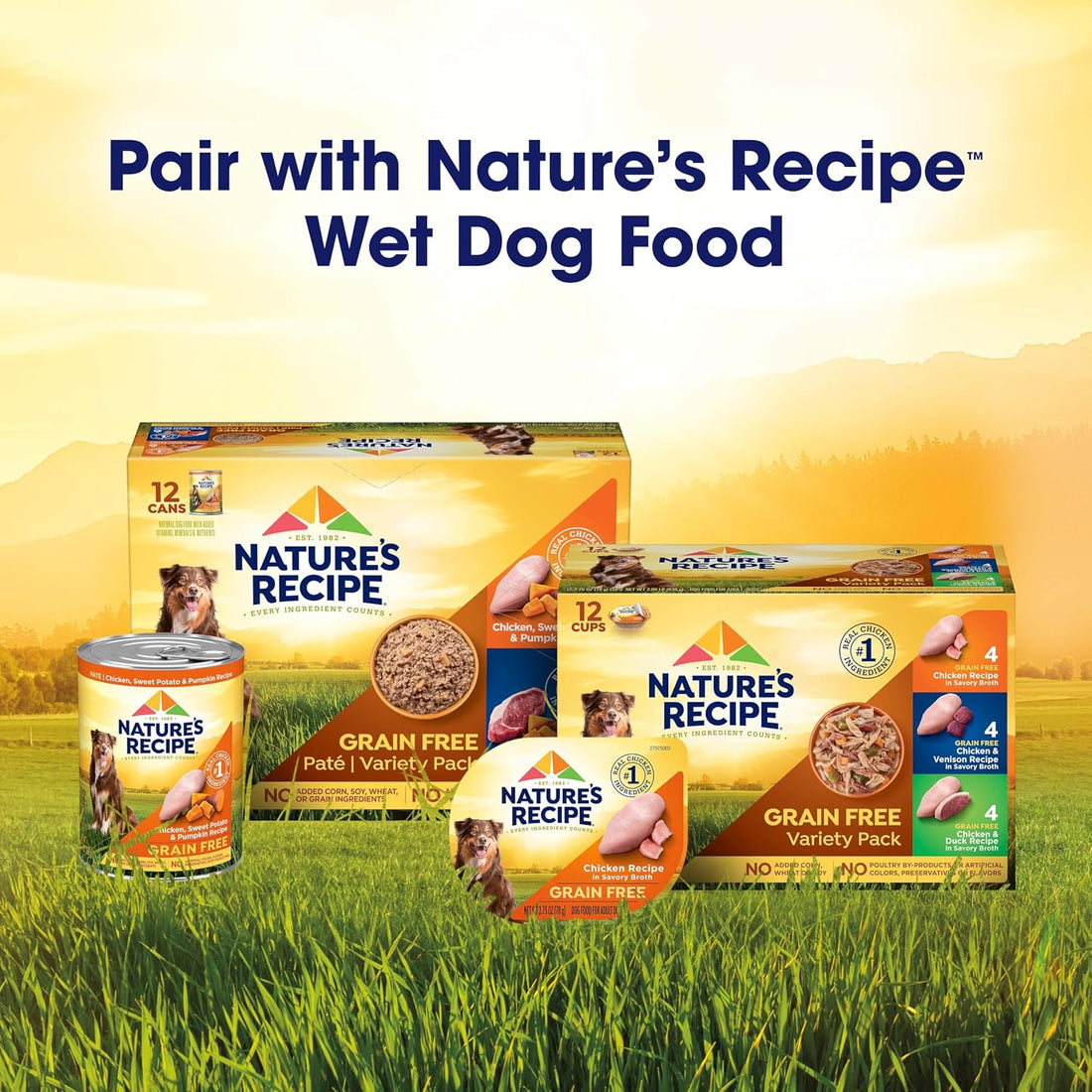 Nature's Recipe Grain Free Dry Dog Food, Salmon