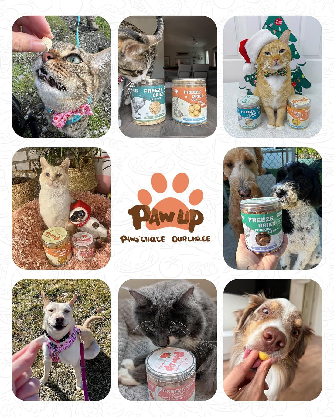 PAWUP Freeze Dried Salmon Dog Treats, Single Ingredient