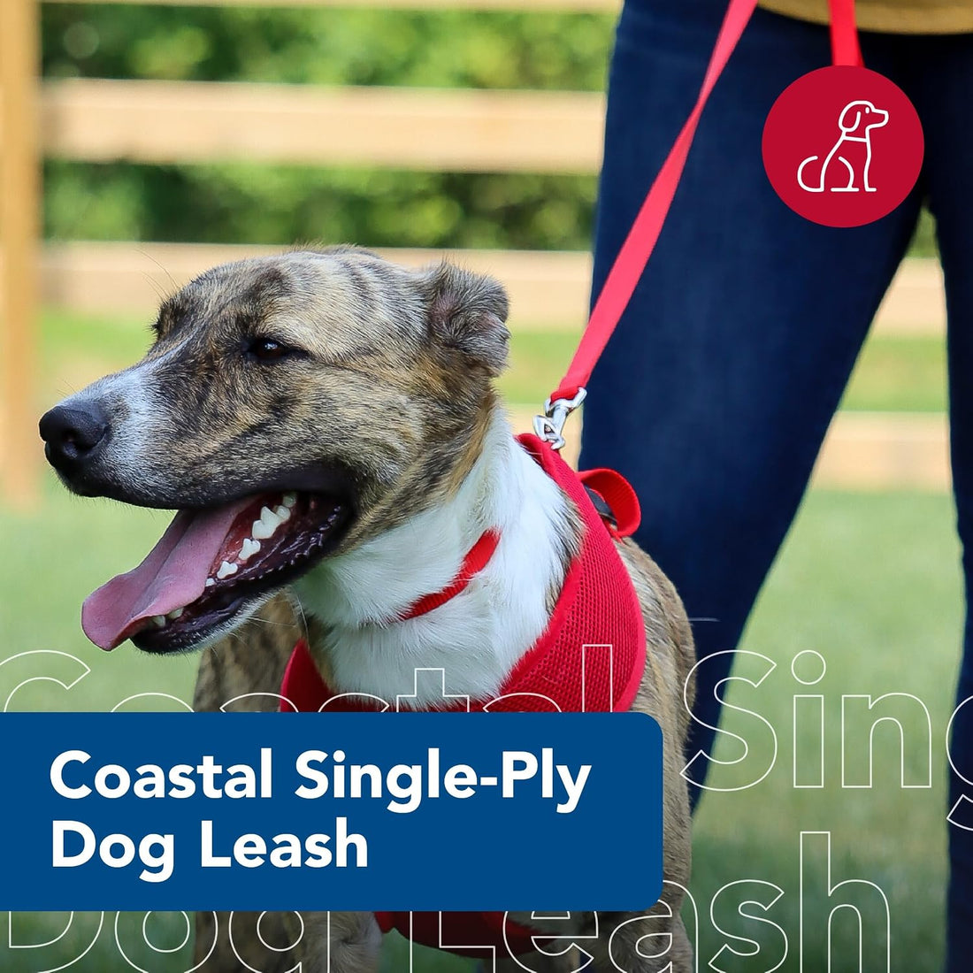 Coastal Pet Single-Ply Dog Leash - Sturdy Pet Leash